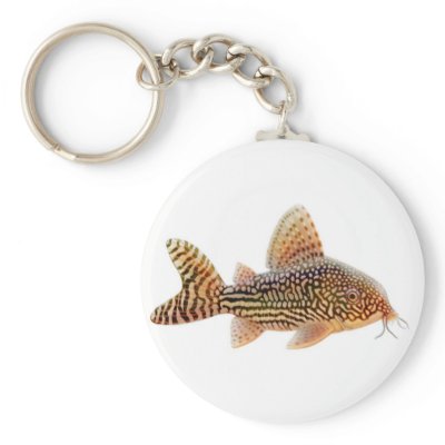 Corydoras Sterbai Catfish Keychain by twopurringcats