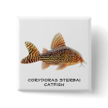 Corydoras Sterbai Catfish Pin buttons