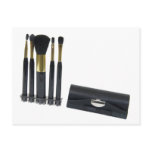 CosmeticBrushes072509 Post Card