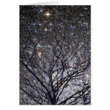 Cosmic Christmas Tree Star Cluster Greeting Card
