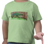 cosmic tortoise t-shirts