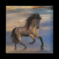 Cosmic .. wild stallion magnets