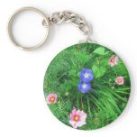 Cosmos and morning glories keychains
