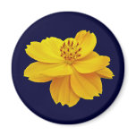 Cosmos (Cosmos sulphureus) Flowers Magnets