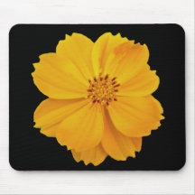 Cosmos (Cosmos sulphureus) Flowers Mouse Pad