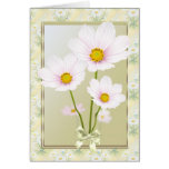 Cosmos (daisy) flowers Card