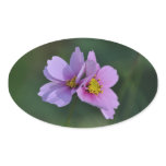 Cosmos in the Garden Sticker