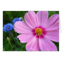 Cosmos, note card