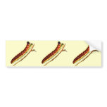 Cossus cossus caterpillar bumper stickers