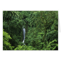 Costa Rica, Arenal Volcano area, Hanging Bridges Card