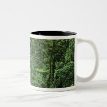 Costa Rica, Arenal Volcano area, Hanging Bridges Mugs