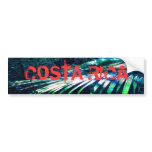 Costa Rica- Blue Palm bumper stickers