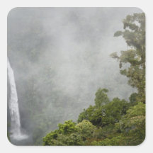 Costa Rica, cloud forest in mountains near La Sticker