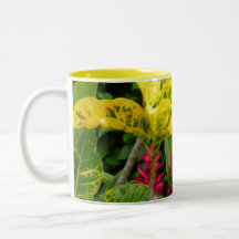 costa rica ginger mugs