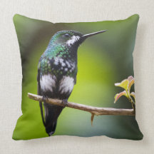 Costa Rica Hummingbird Pillow