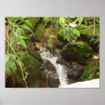 Costa Rica posters