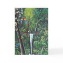 Costa Rica Rainforest cards
