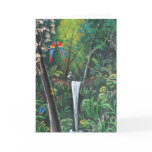 Costa Rica Rainforest cards