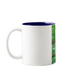 costa rica scarlet macaw mugs