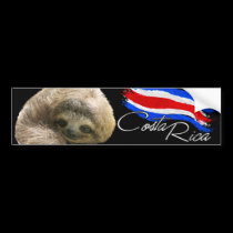 Costa Rica Sloth bumper stickers