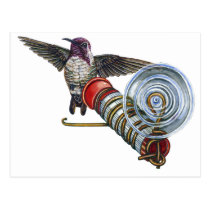 Costas Hummingbird at the Bird Feeder postcards