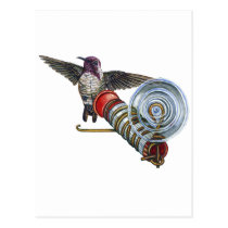 Costas Hummingbird at the Bird Feeder postcards
