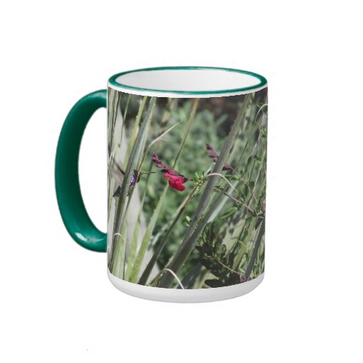Costa's Hummingbird Coffee Mugs