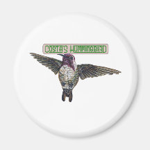 Costas Hummingbird with Banner Fridge Magnets