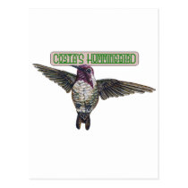 Costas Hummingbird with Banner postcards
