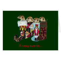 Cosy Holidays - KMP Seasons Greetings Card