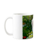 Cosy Kittens Coffe Mug - Blue Silver Persian