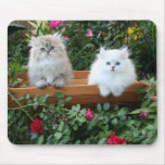 Cosy Kittens mousepads