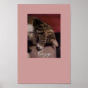 Cosy Kitty posters