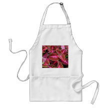 Coteus Apron