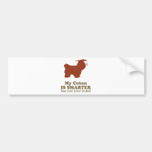 Coton de Tulear Bumper Stickers