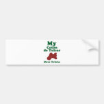 Coton de Tulear Bumper Stickers