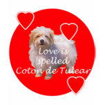 COTON de Tulear Love T-shirts