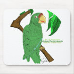 Cotorra Puertorriqueña/Puerto Rican Parrot mousepads