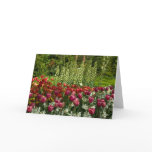 Cottage Garden Greeting Card