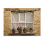 "Cottage Window" Postcards