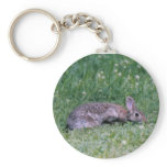 Cotten tail Rabbit Key Chain keychains