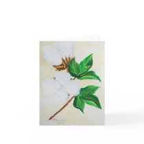 Cotton Boll Botanical 1 Greeting Card