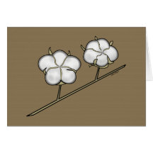 Cotton Boll Card