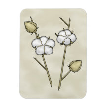 Cotton Boll Magnets