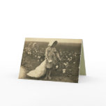 Cotton Field cards