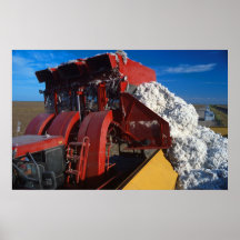 Cotton harvesting posters