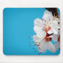 Cotton Mousepad