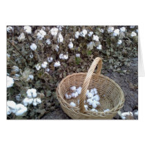 Cotton Pickin' Basket Cards