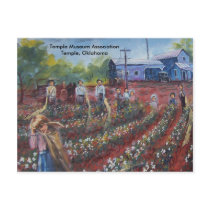 Cotton Pickin' in Oklahoma Post Card