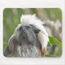 Cotton Topped Tamarin Mouse Pad